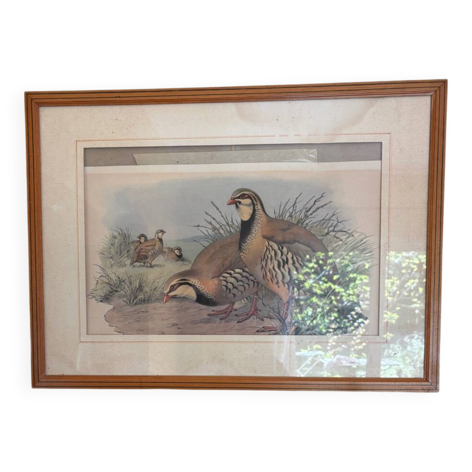 3 prints of ducks and partridges