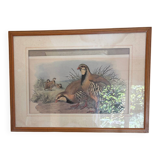 3 prints of ducks and partridges