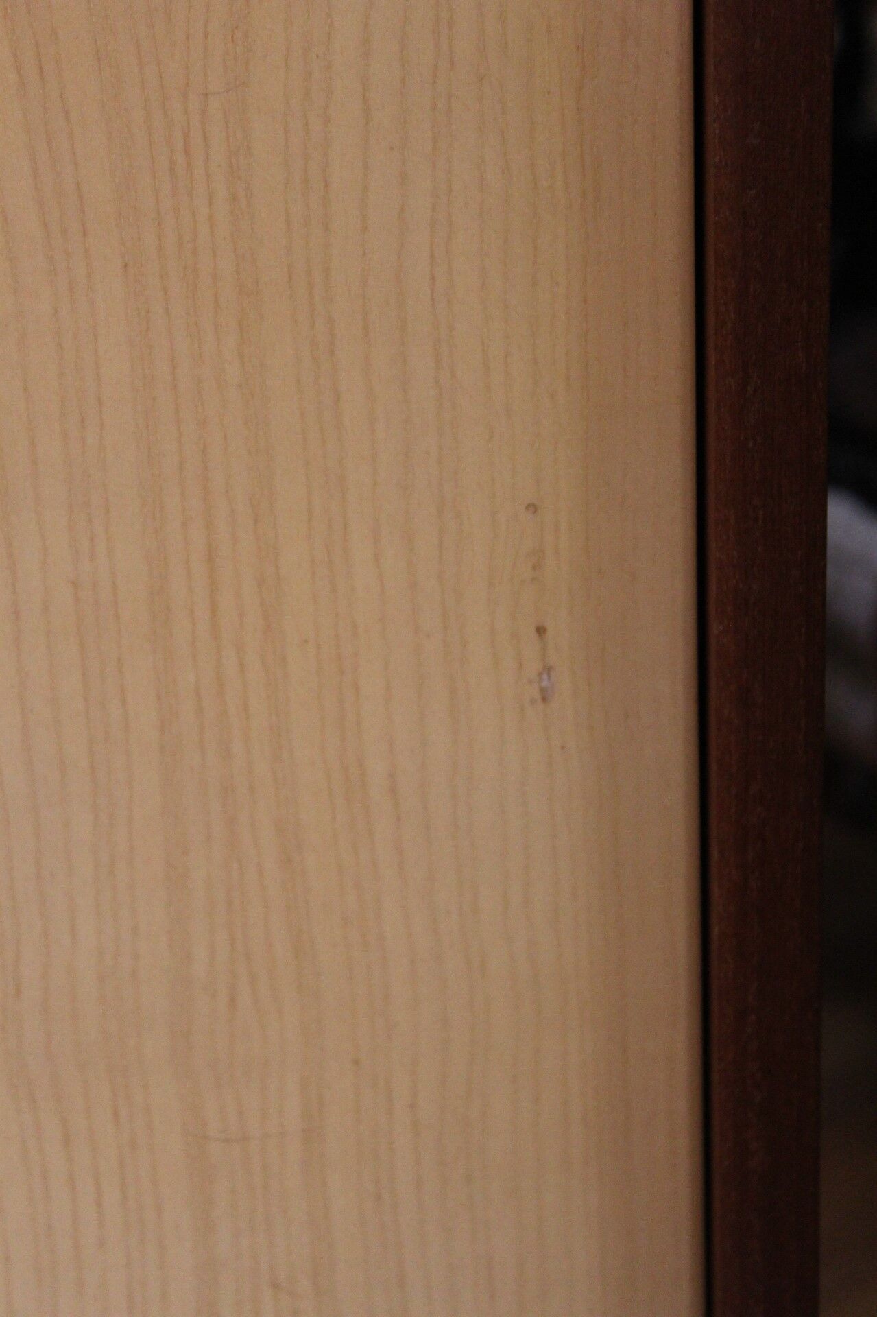 Pair of Polymeubles cabinets David series B, 1958