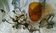 Old iron hanging wrought orange globe
