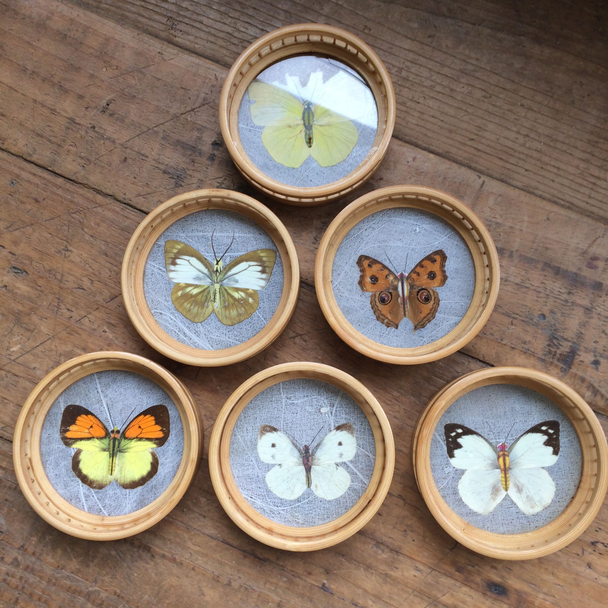 Butterflies glasses mats