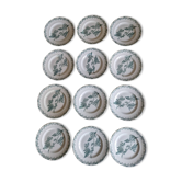 Set of 12 Saint Amand ironstone plates, Richelieu model