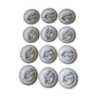 Set of 12 Saint Amand ironstone plates, Richelieu model