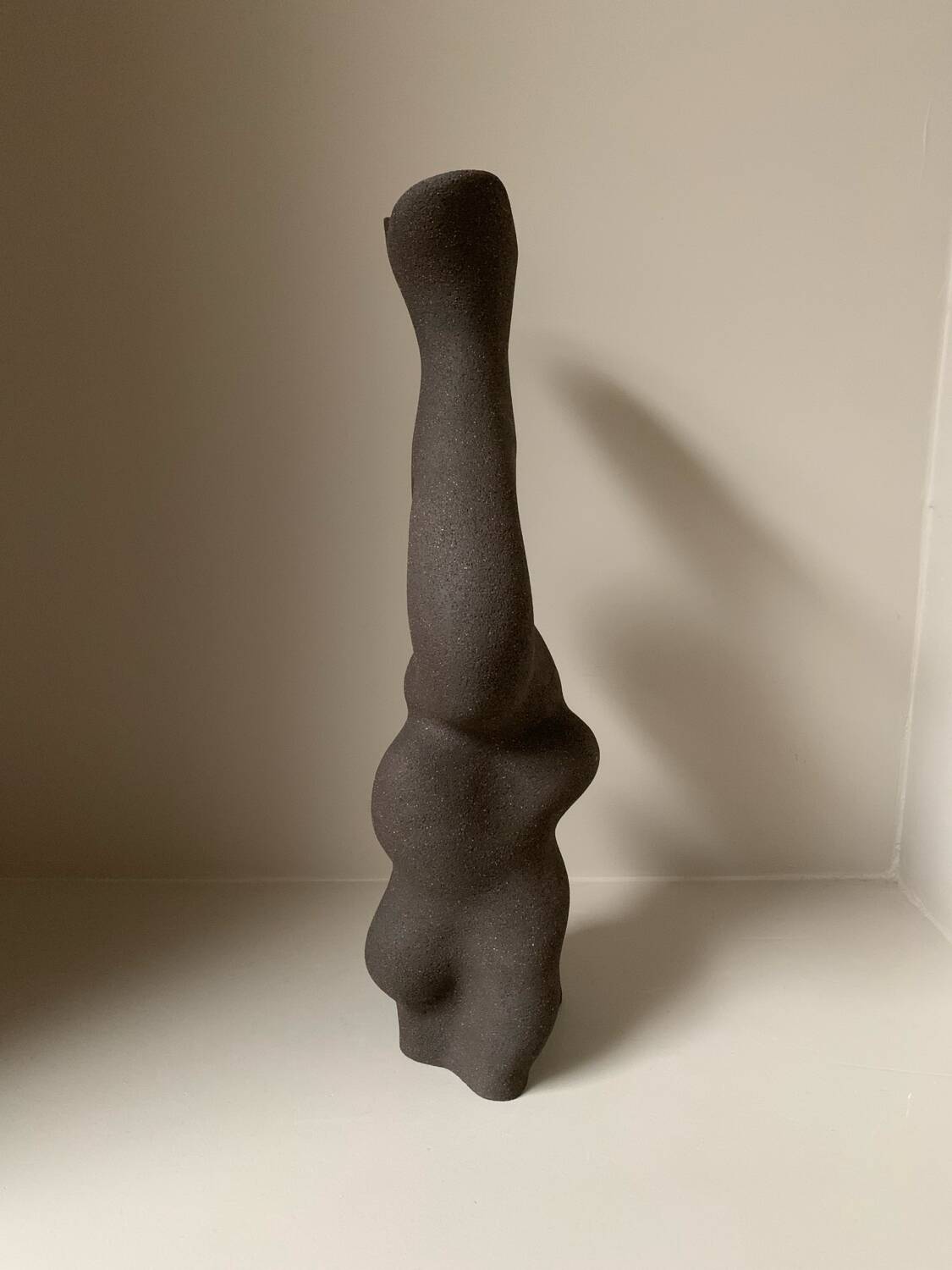 Black stoneware vase in an organic shape