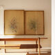 Pair of vintage paintings 1950 frame gilded wood