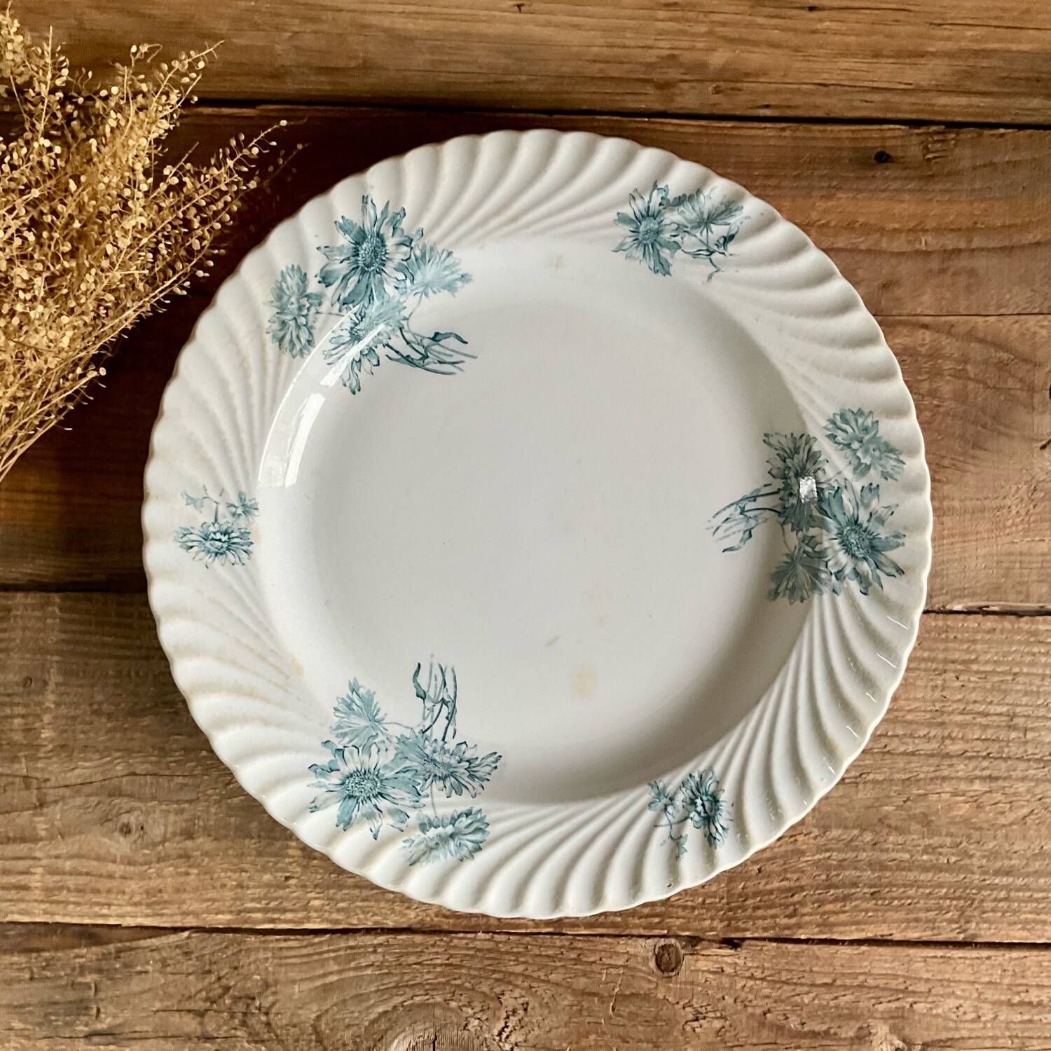 Plat Petrus Regout Pinksterbloem