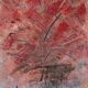 « L'Arbre d'automne » de Robert Möller