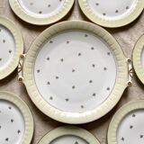 Limoges porcelain dessert service