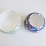 Pots de fleurs vert et violet