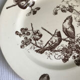 Plat en faïence