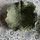 Cabbage leaf cups