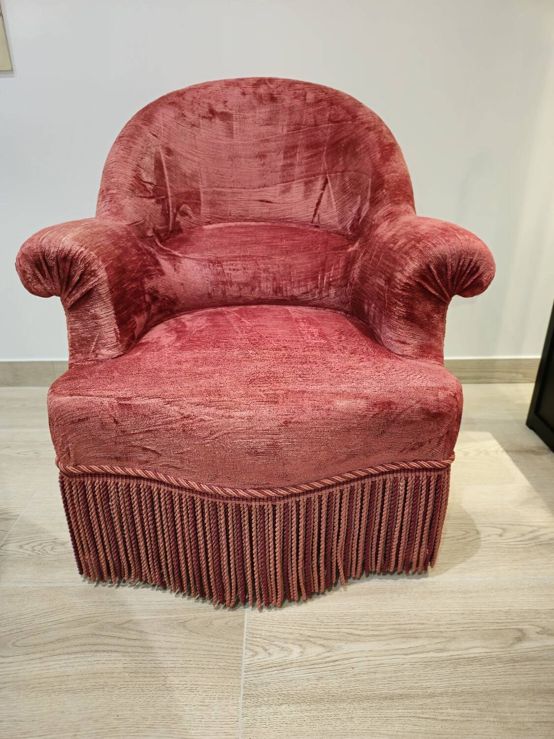 Burgundy velvet toad