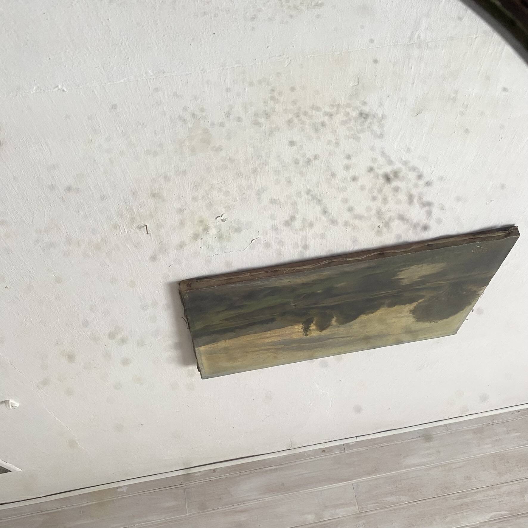 Miroir ovale mercure en bois sculpté décor nœud ruban 37X52