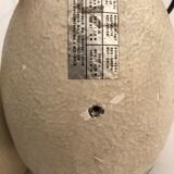 Pair of speakers Elipson model as40, 1960/1970