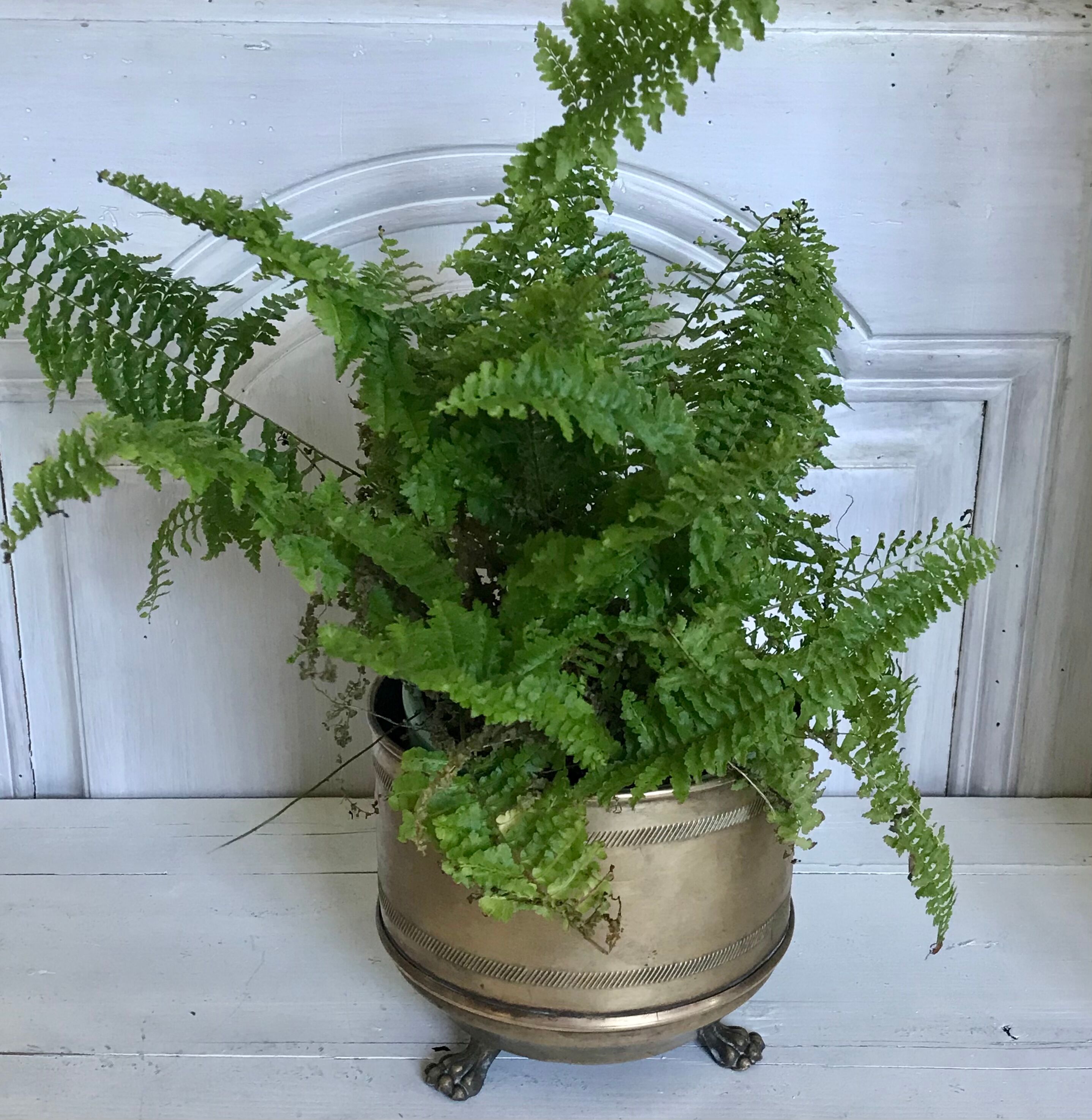 Former brass tripod pot