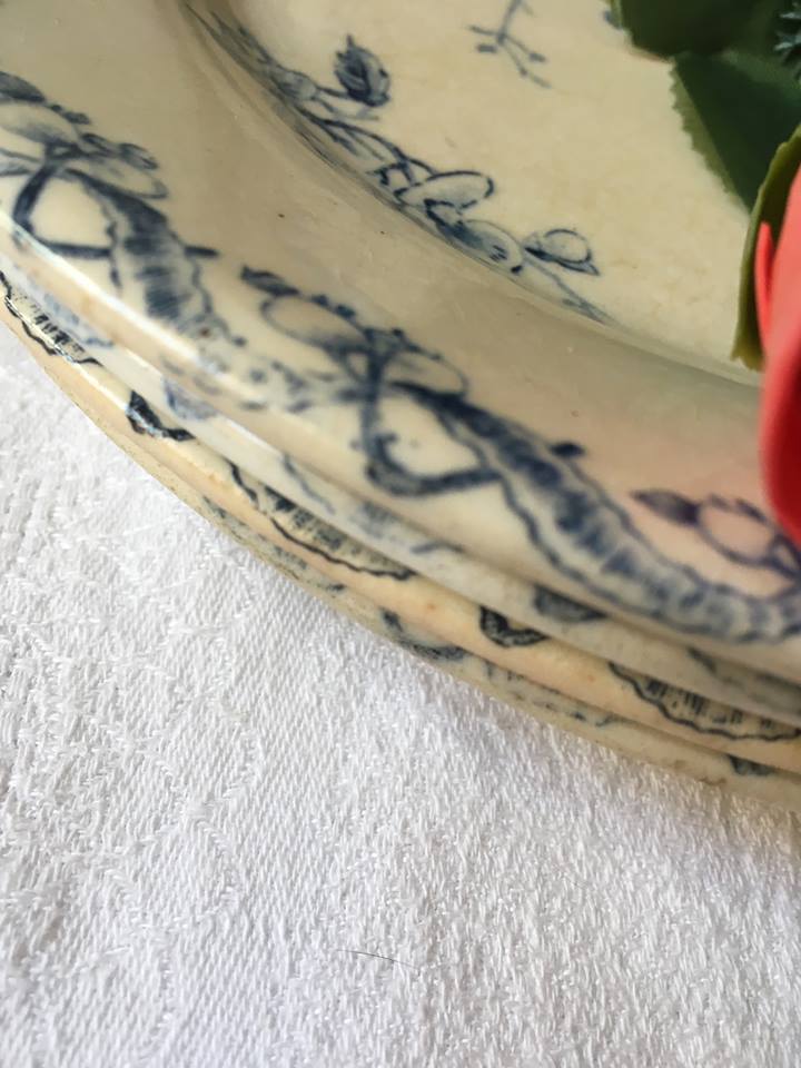 Four plates flat faience of Gien model begonia