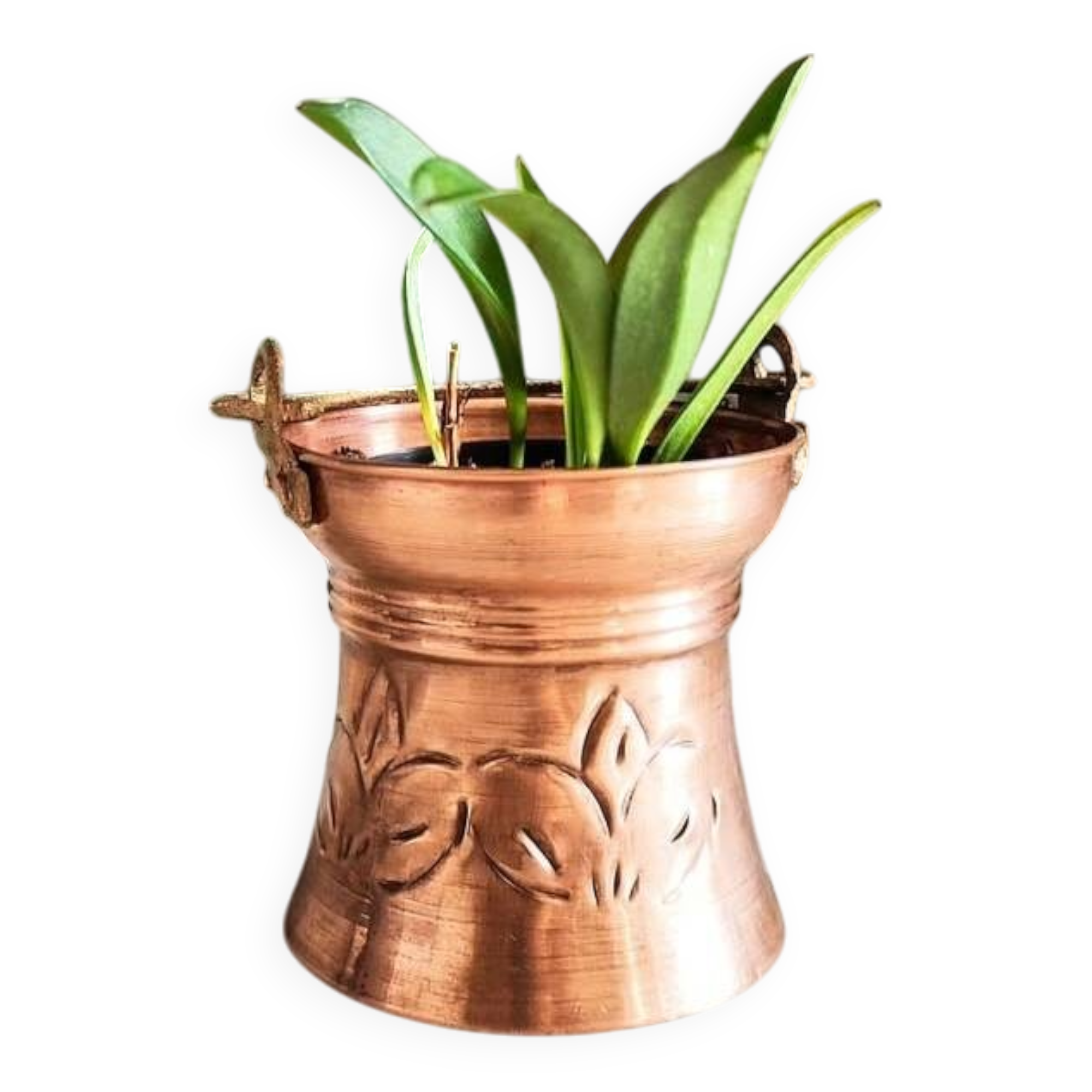 Plant pot