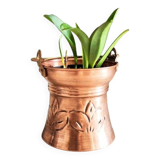 Plant pot