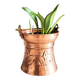 Plant pot