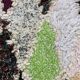 Berber carpet azilal 80x180 cm