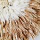 Juju hat beige 75 cm
