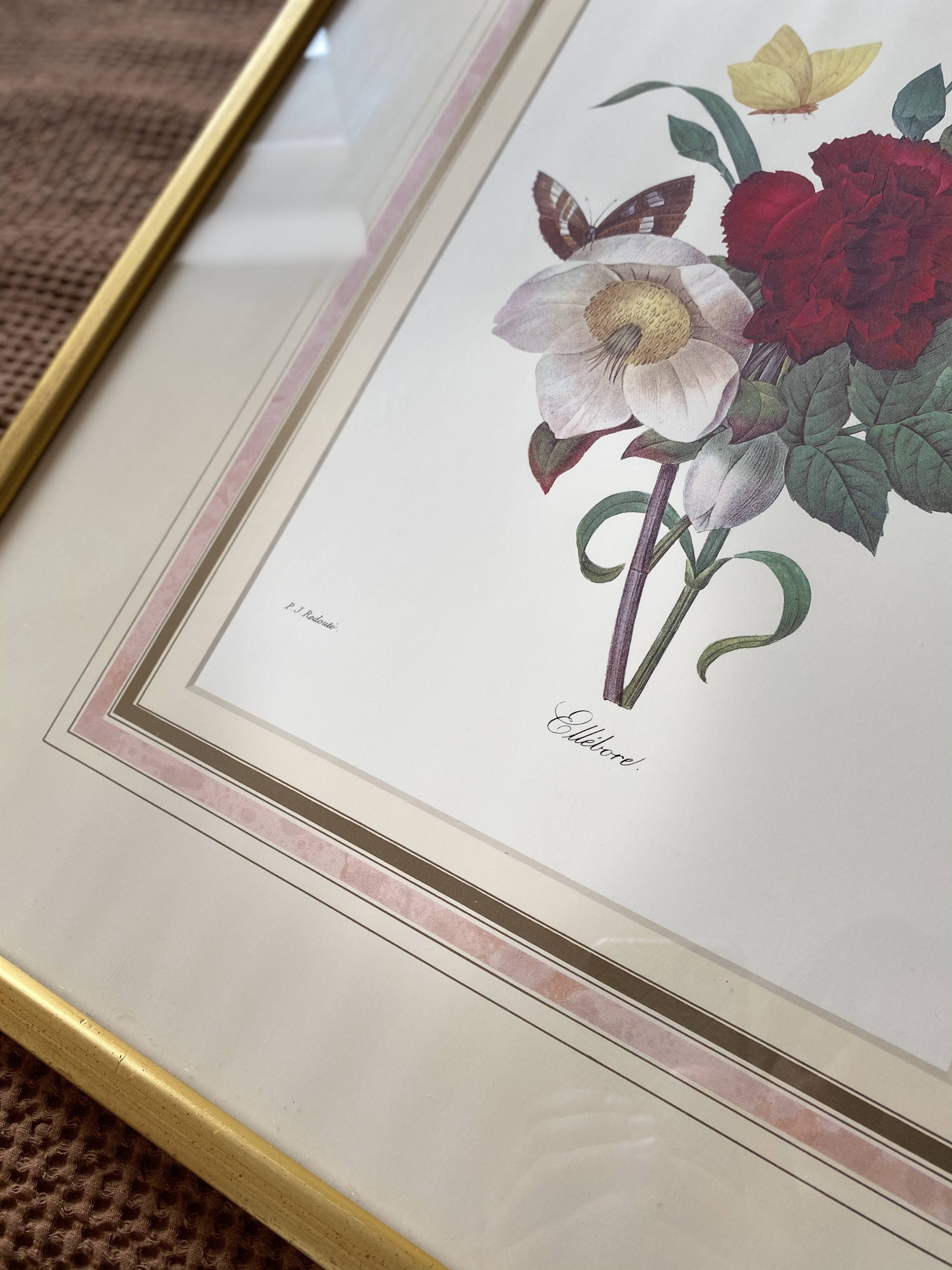 Floral lithograph by P.J Redouté