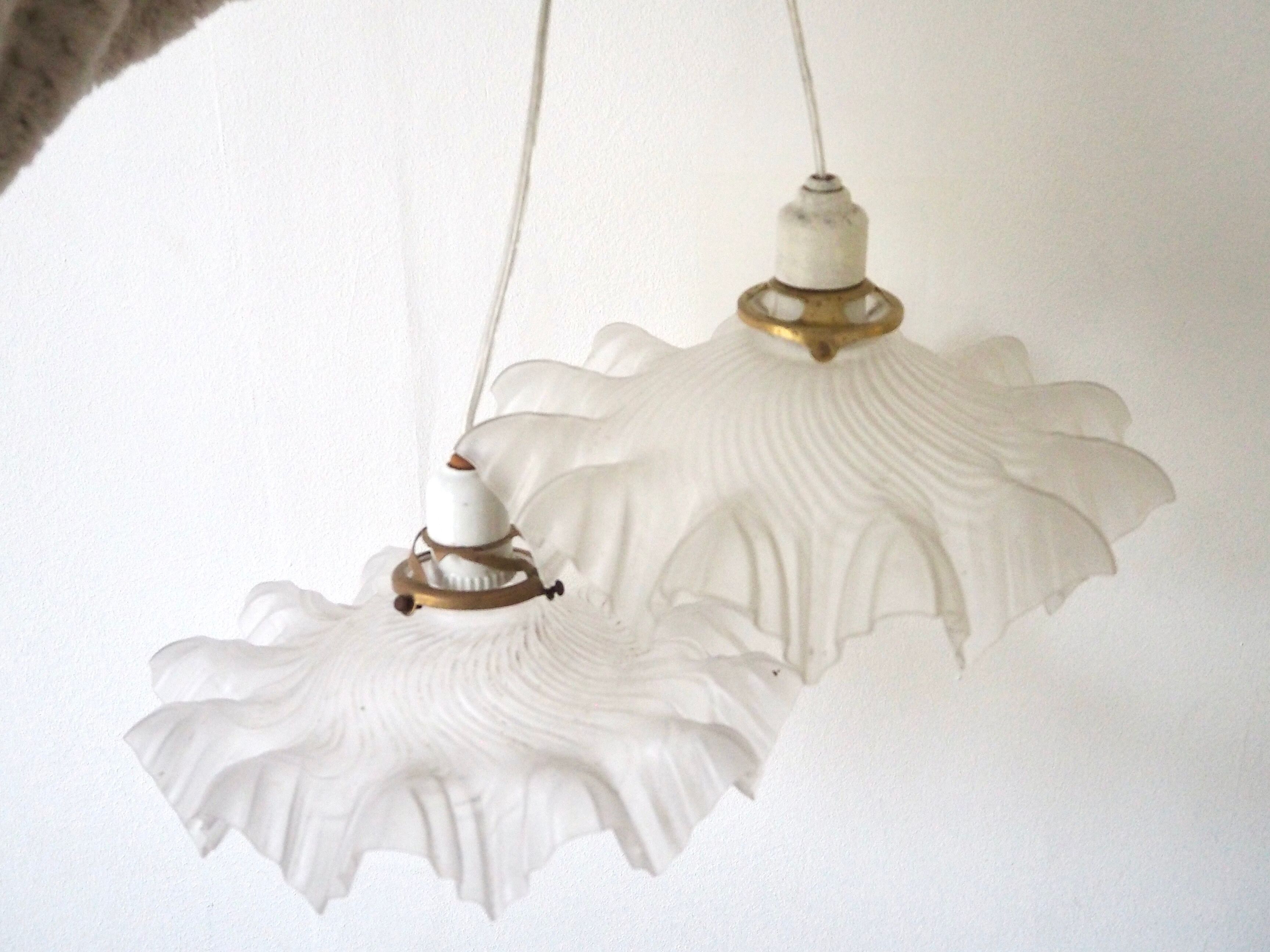Pair of frosted glass flower pendant lamps