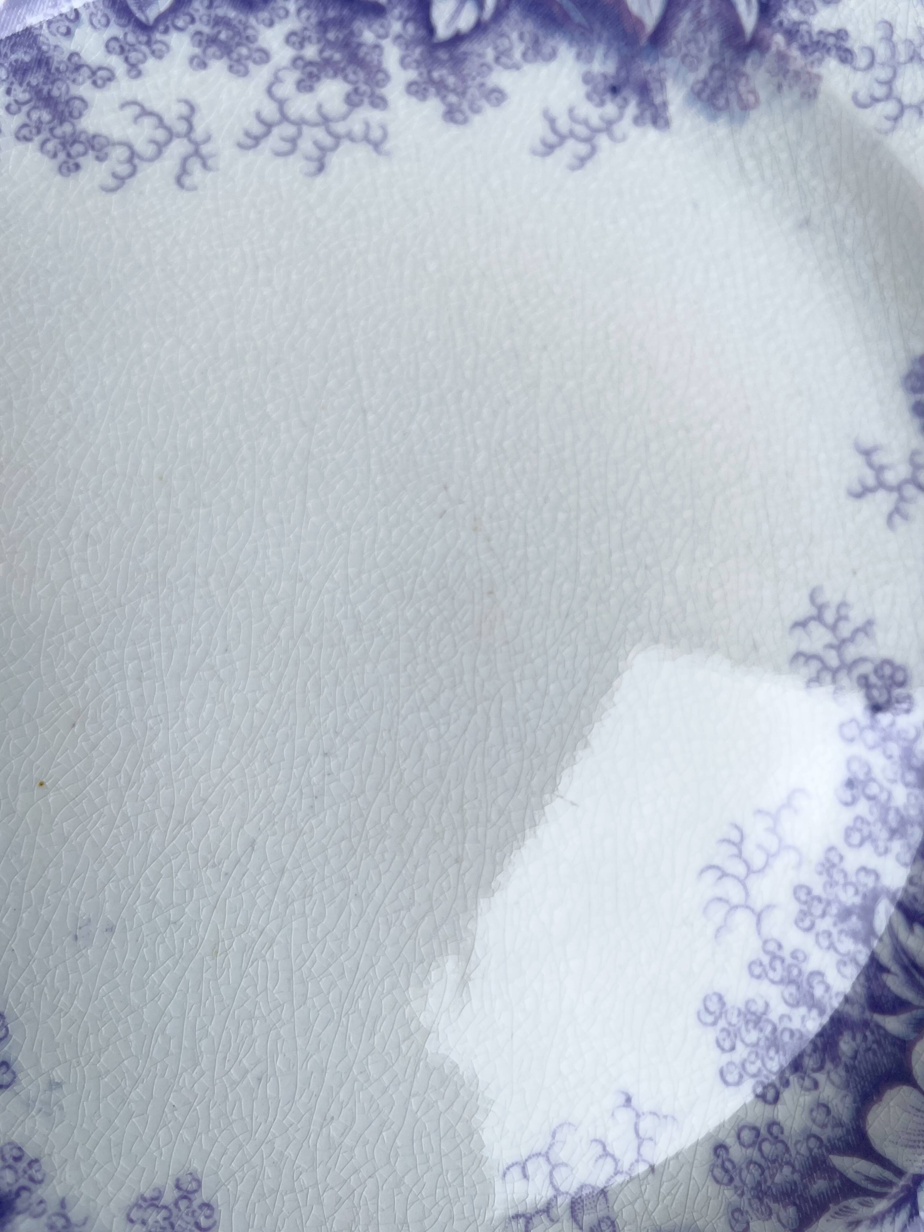 Dessert plates Sarreguemines model Jardinière 19th century
