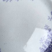 Assiettes dessert Sarreguemines modèle Jardinière XIXEME