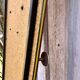 Red coat rack 1950 mirror free form brass hooks