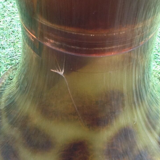 1970s Stool Tam Tam Transparent Leopard print (designer Henry Massonnet)