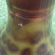 1970s Stool Tam Tam Transparent Leopard print (designer Henry Massonnet)