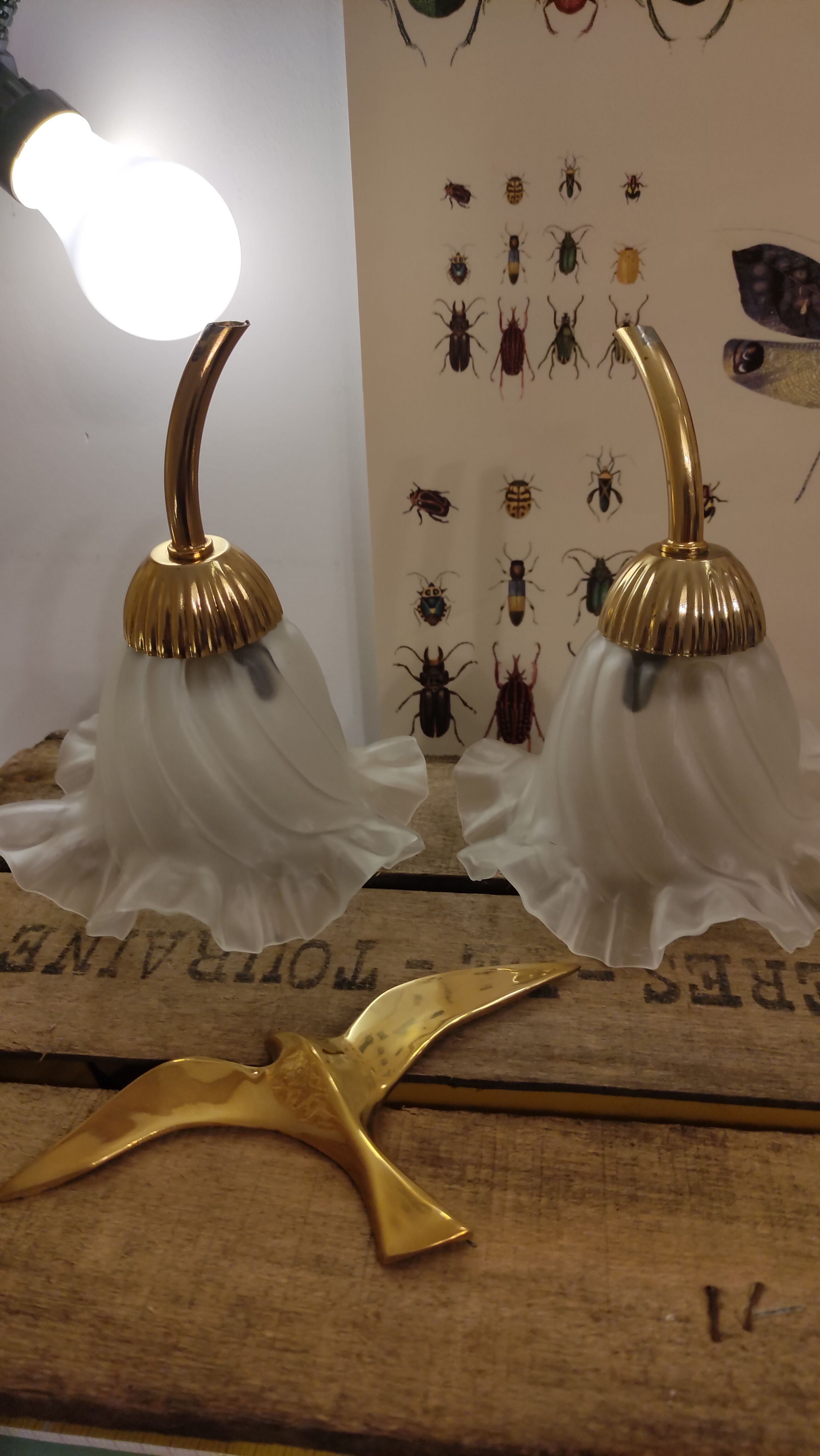 Duo of lampshade, art deco tulip globe