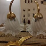 Duo of lampshade, art deco tulip globe