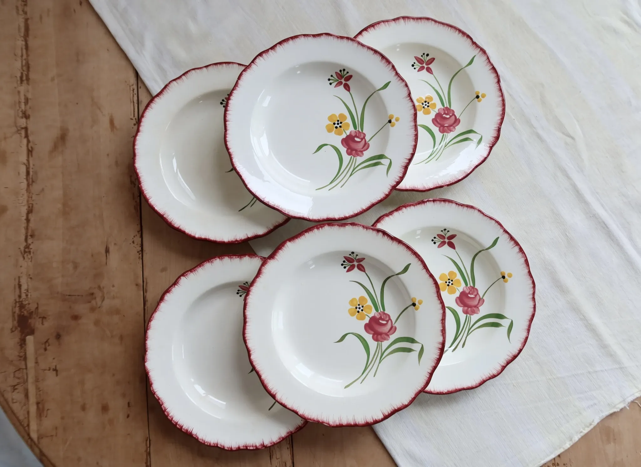 6 assiettes creuses vintage terre de fer Salins modèle Pierrette