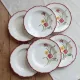 6 assiettes creuses vintage terre de fer Salins modèle Pierrette