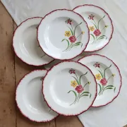 6 vintage deep plates Terre de Fer Salins model Pierrette