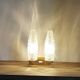 Double vintage sconce