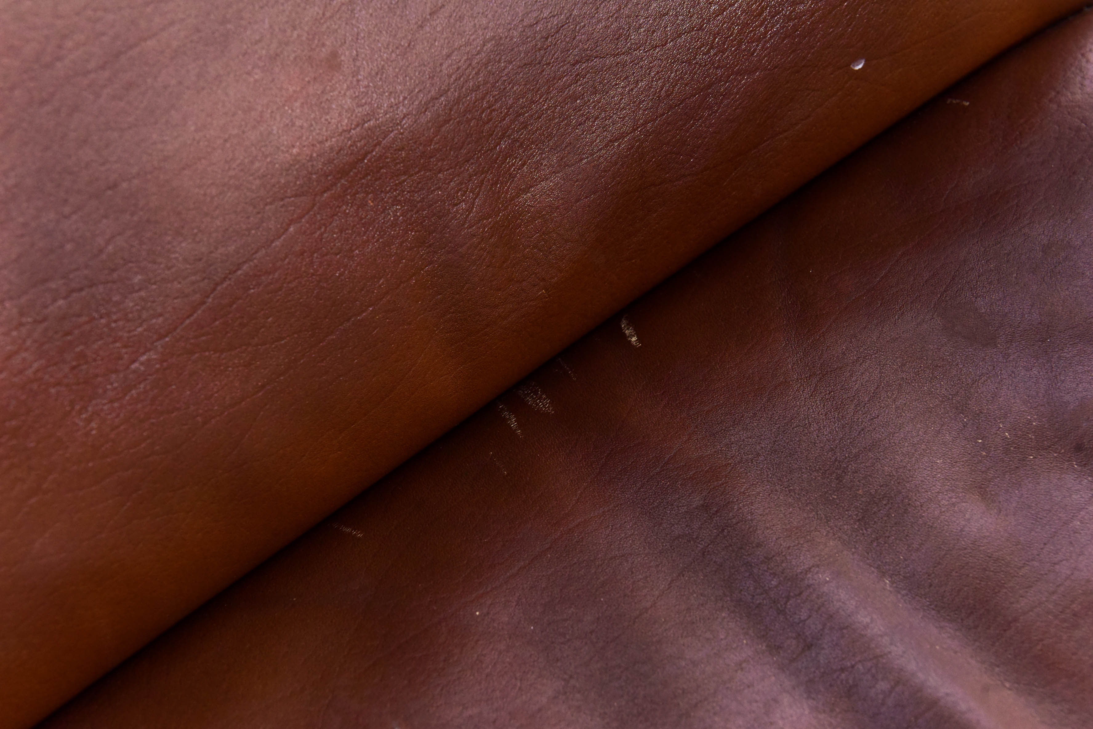 384 boardroom swivel chairs by Harcourt for Artifort