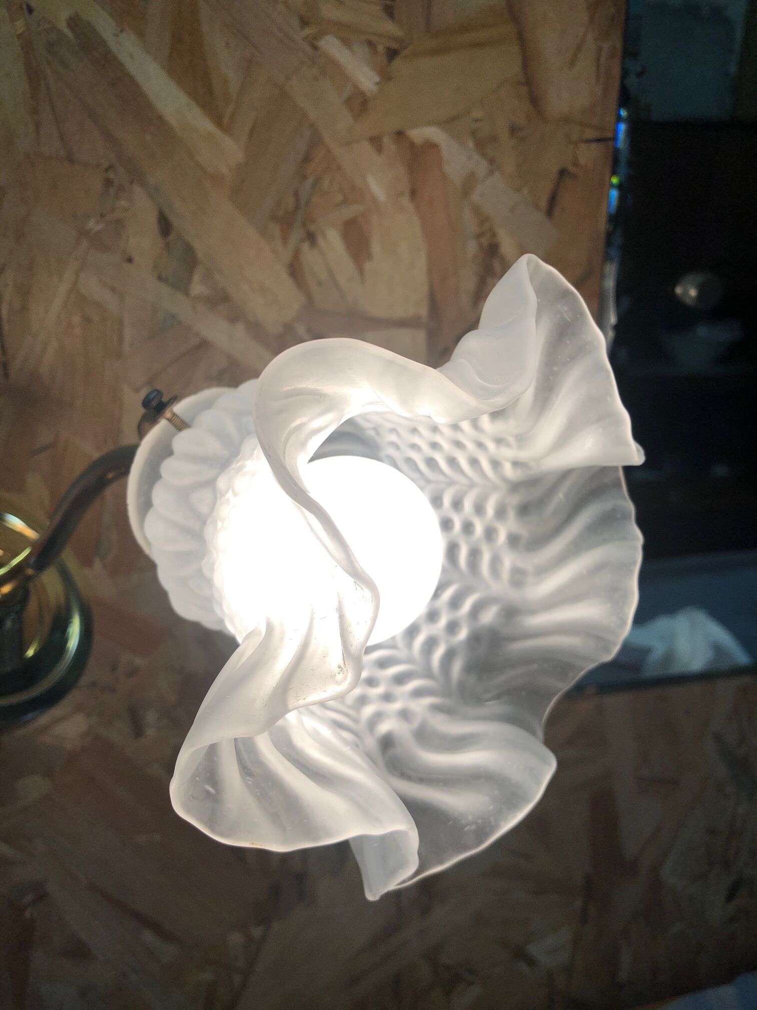 Tulip wall lamp sandblasted glass