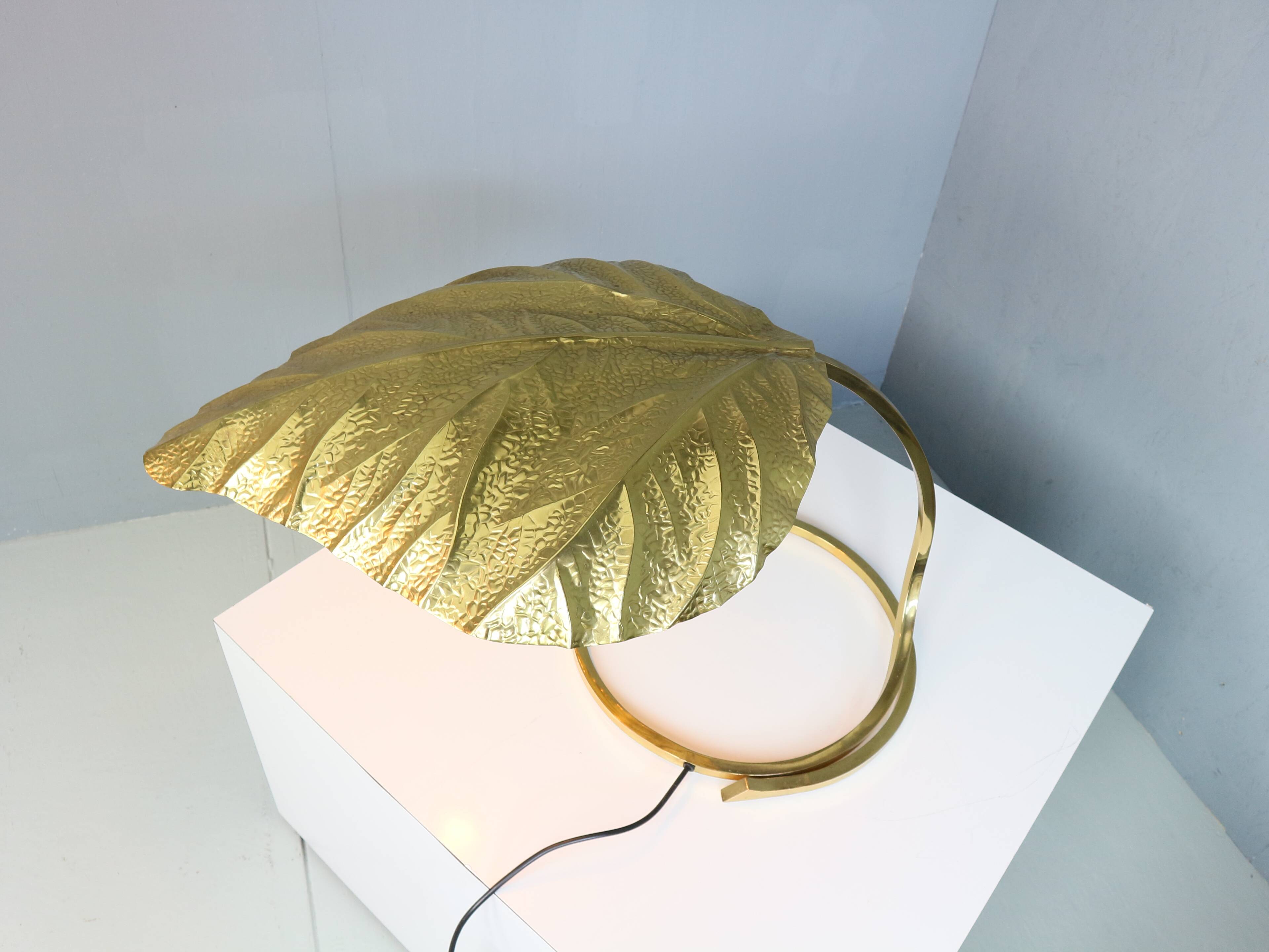 Tommaso Barbi "Rhubarb" table lamp by Bottega Gadda Italy, 1970