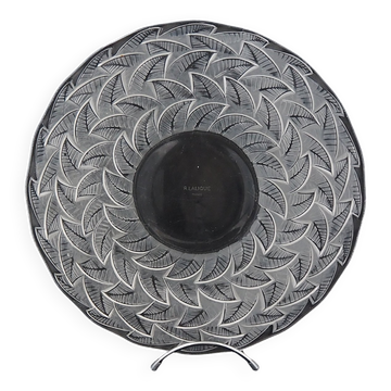 Coupe, plat, "les ormeaux" N°1, René Lalique