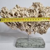 Antique White Coral on Grey Marble Base, 21 cm