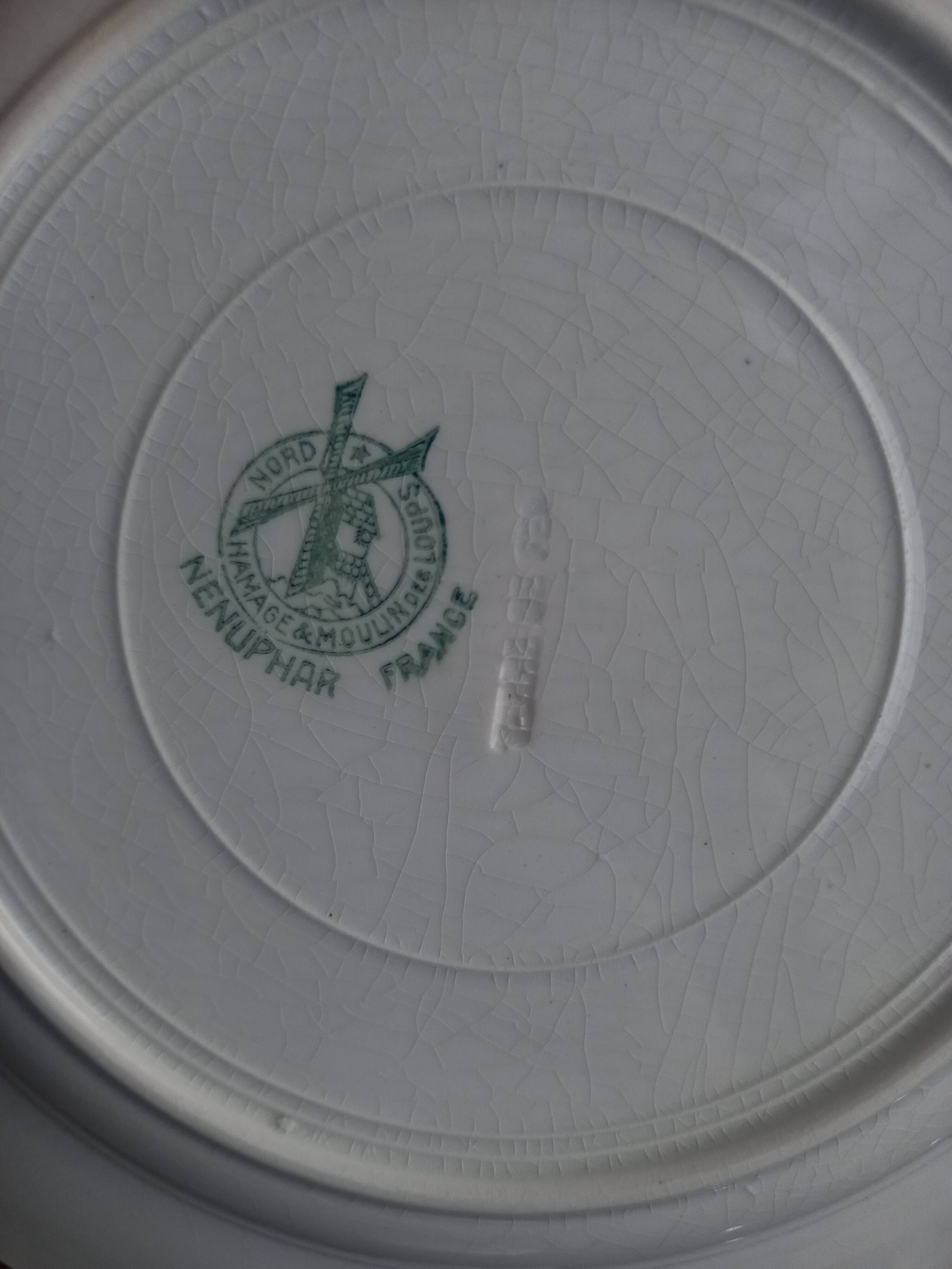 Set of 10 large ironstone plates Art Deco Saint-Amand Water Lily