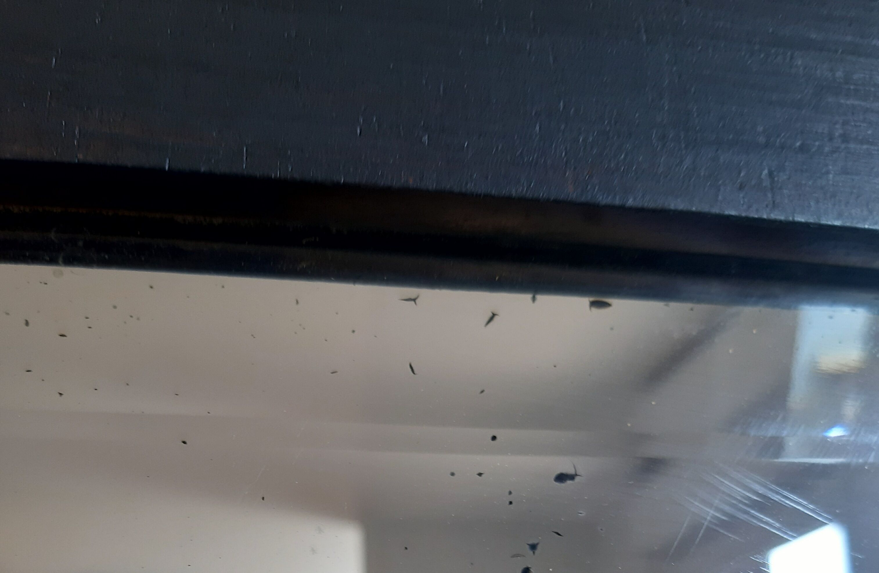 Art Deco hairdresser