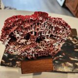 Red coral