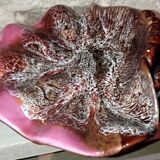 Vallauris shell dish
