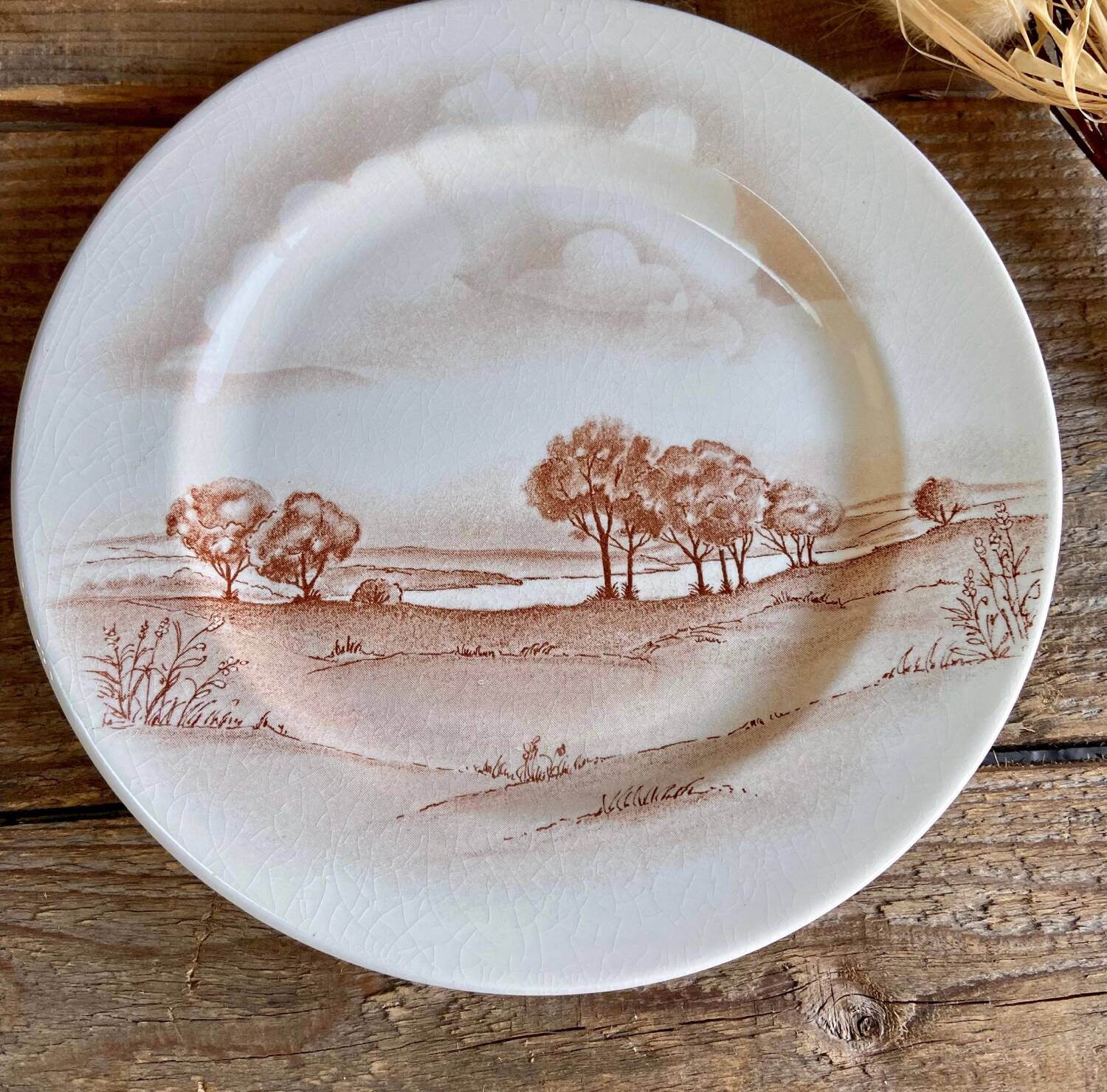 Vintage landscape plate