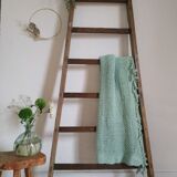 Old wooden ladder