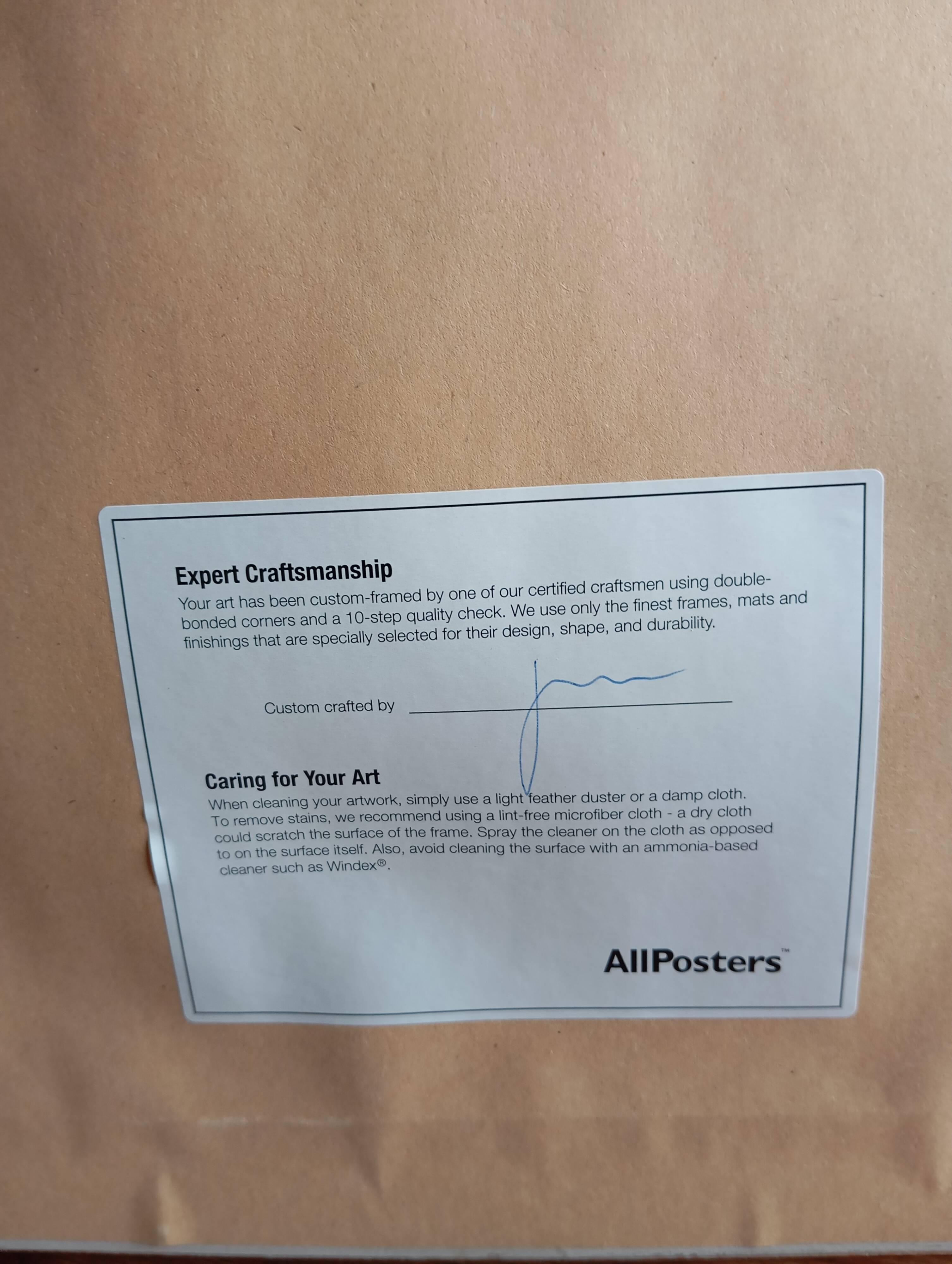 “planisphere – the world” poster frame